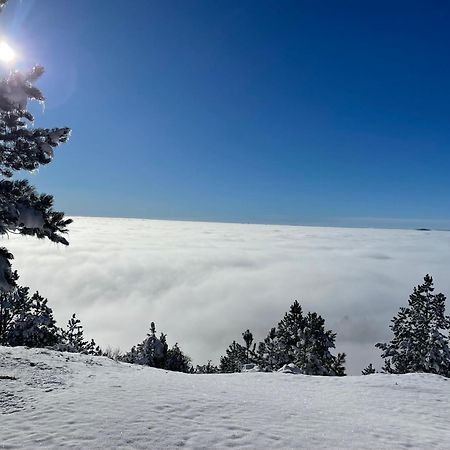 Brvnara Iverak Mokra Gora Exterior foto