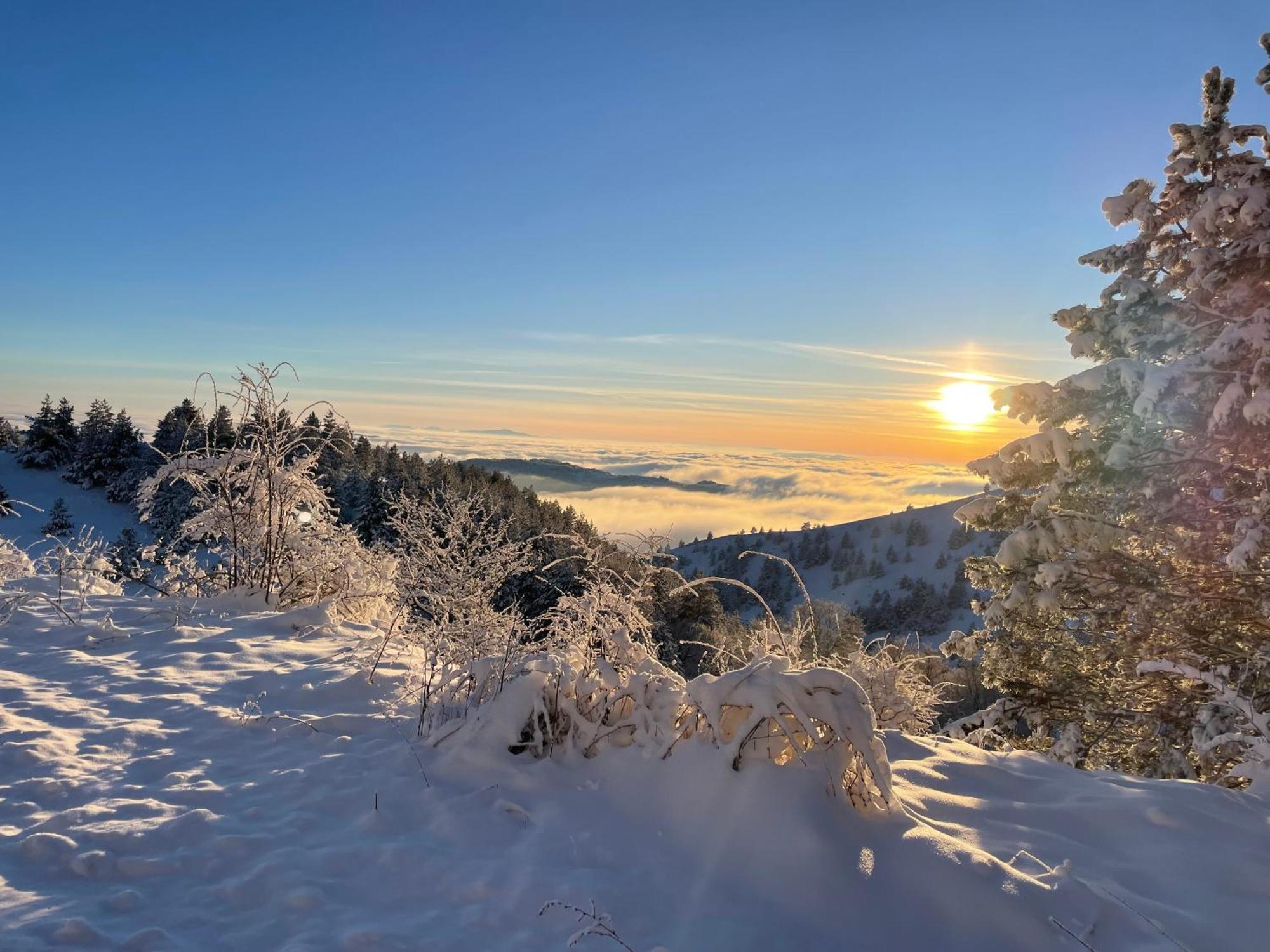 Brvnara Iverak Mokra Gora Exterior foto